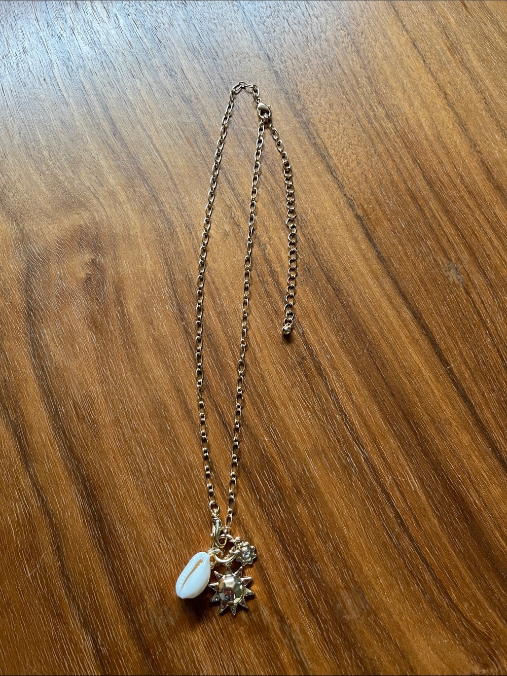 Gold Sun and Shell Necklace